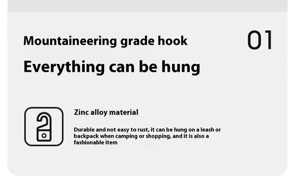Carry hook detail